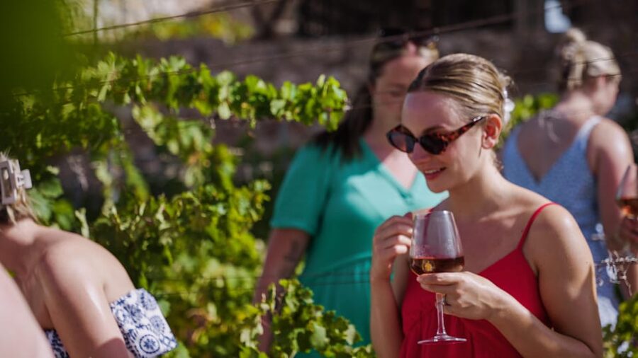 Malaga: Organic Vineyard Tour with 6 Wines, Tapas & Transfer - Walking the organic vineyard