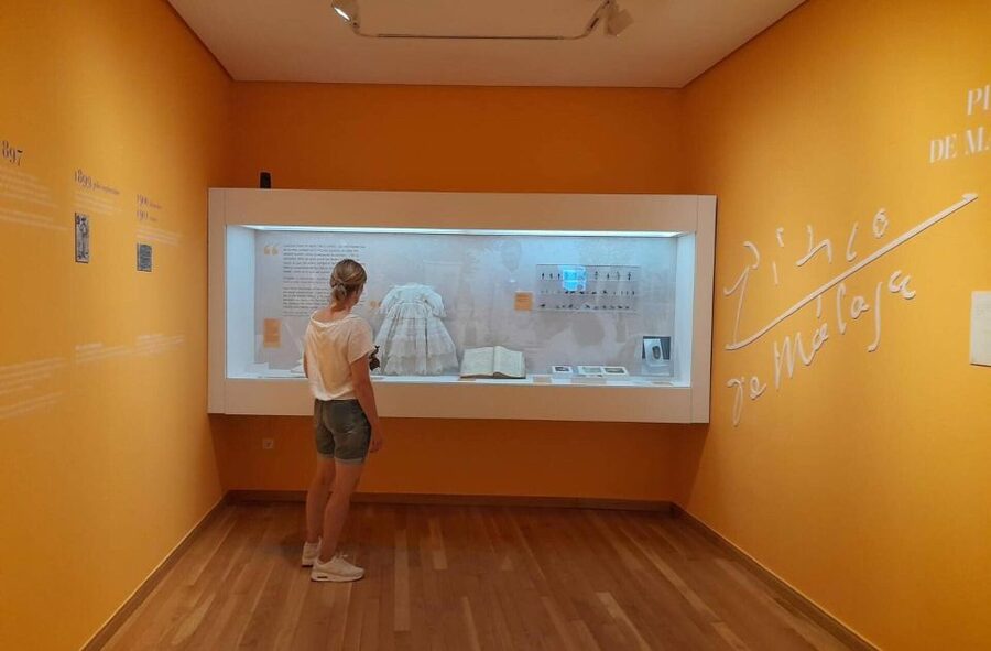 Málaga: Picasso Birthplace Museum Ticket & City Audio Guide - A simple way to use the ticket