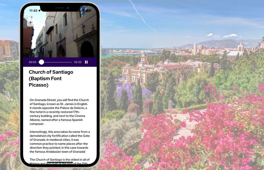Málaga: Picasso Birthplace Museum Ticket & City Audio Guide - Inside the house where Picasso was born