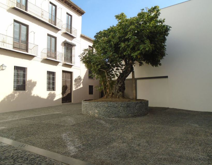 Malaga: Picasso Museum Guided Tour with Skip-the-Line Ticket - What the art explanation adds