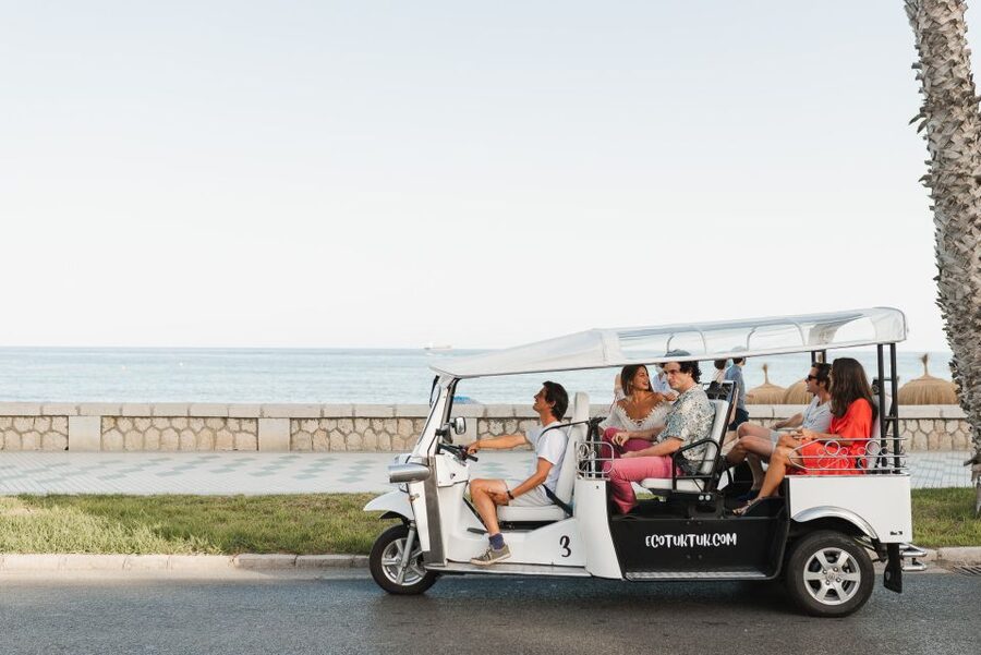 Malaga: Private City Tour by Eco Tuk Tuk - Passing Malaga’s civic center and port
