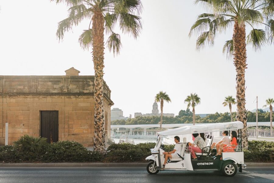 Malaga: Private City Tour by Eco Tuk Tuk - What makes the guides important