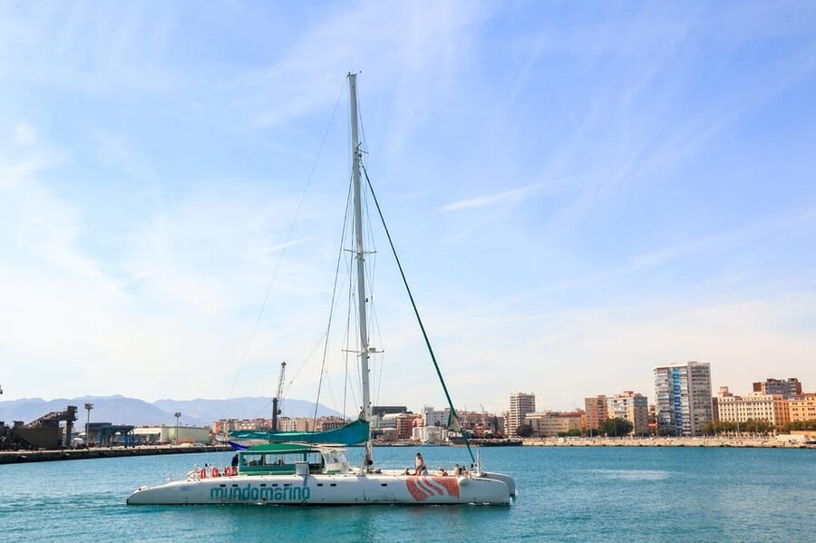 Malaga: Sailing Catamaran with Swimming and Paella Lunch - Who will enjoy this Malaga cruise most