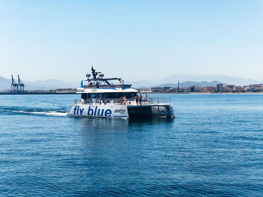 Málaga: Scenic Catamaran Cruise - Bow nets, shade, and the best place to sit