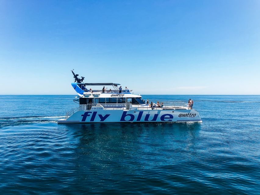 Málaga: Scenic Catamaran Cruise - Who will get the most from this experience?