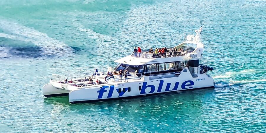 Málaga: Scenic Catamaran Cruise - Timing, weather, and practical planning