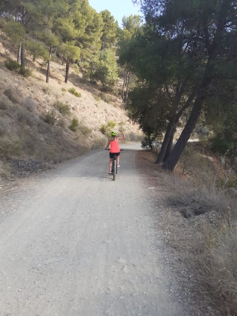 Málaga: Scenic Easy 3-Hour E-Bike Tour in Montes de Málaga - From Mercado Central to the foothills