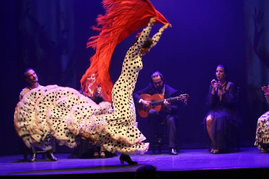 Malaga: Teatro Flamenco Malaga Live Flamenco Show - Key points to know before you book