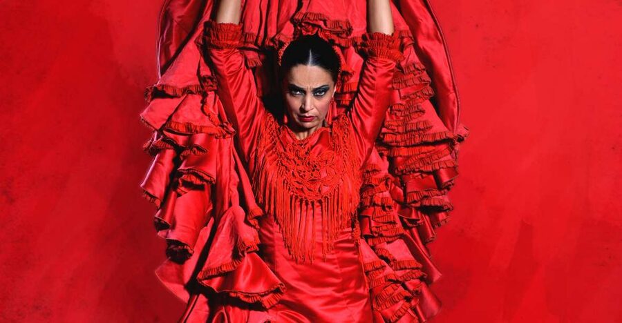 Malaga: Teatro Flamenco Malaga Live Flamenco Show - What the one-hour flamenco performance feels like