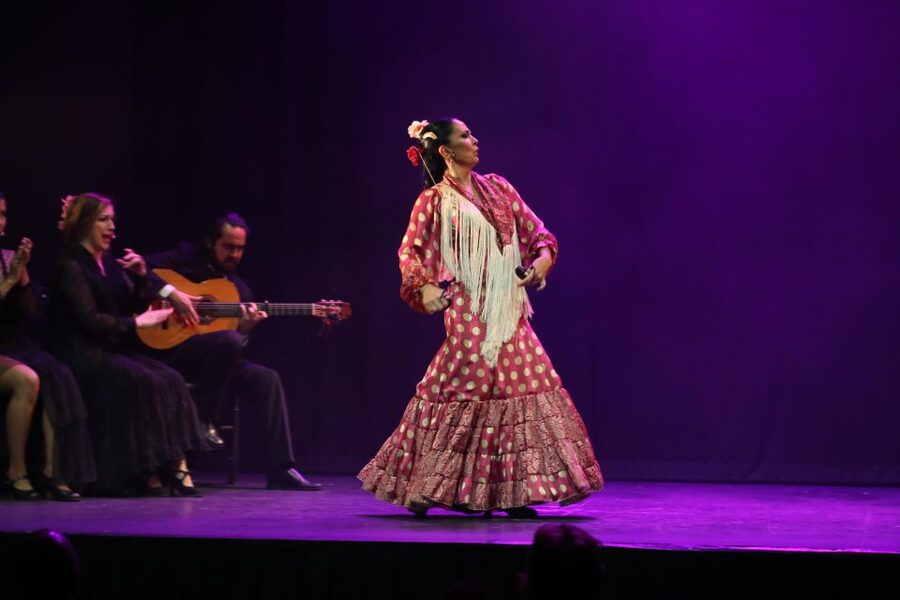 Malaga: Teatro Flamenco Malaga Live Flamenco Show - The dancers, singers, and guitarists