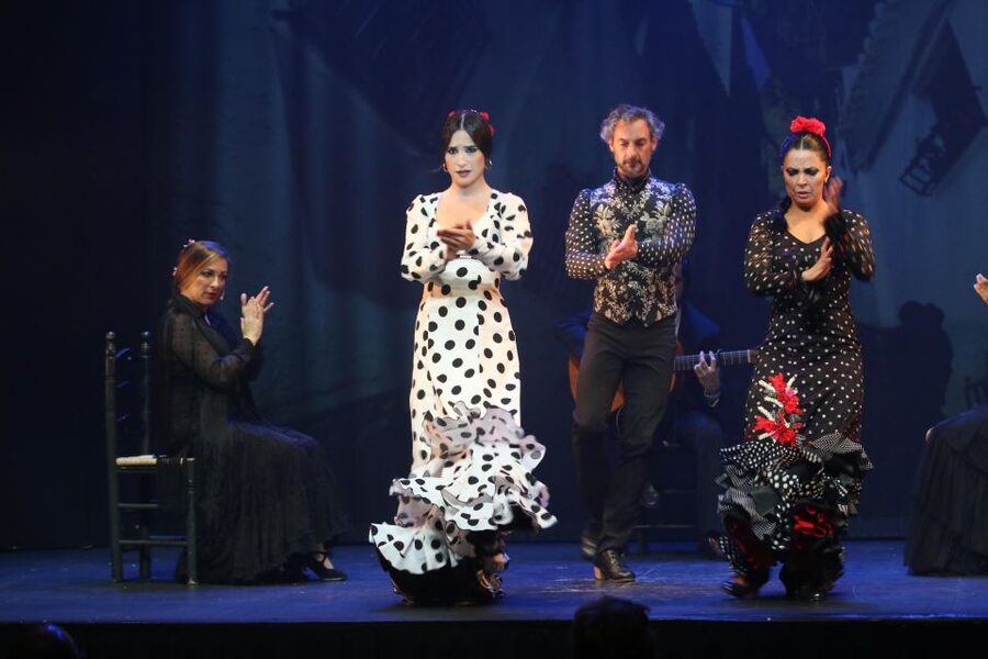 Malaga: Teatro Flamenco Malaga Live Flamenco Show - What the show explains, and what it leaves out