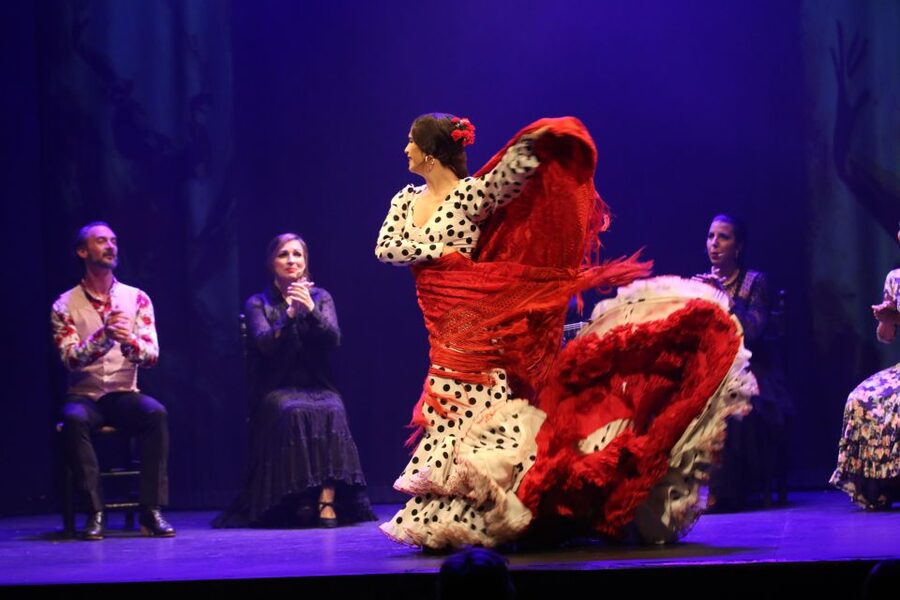 Malaga: Teatro Flamenco Malaga Live Flamenco Show - Small drawbacks worth knowing