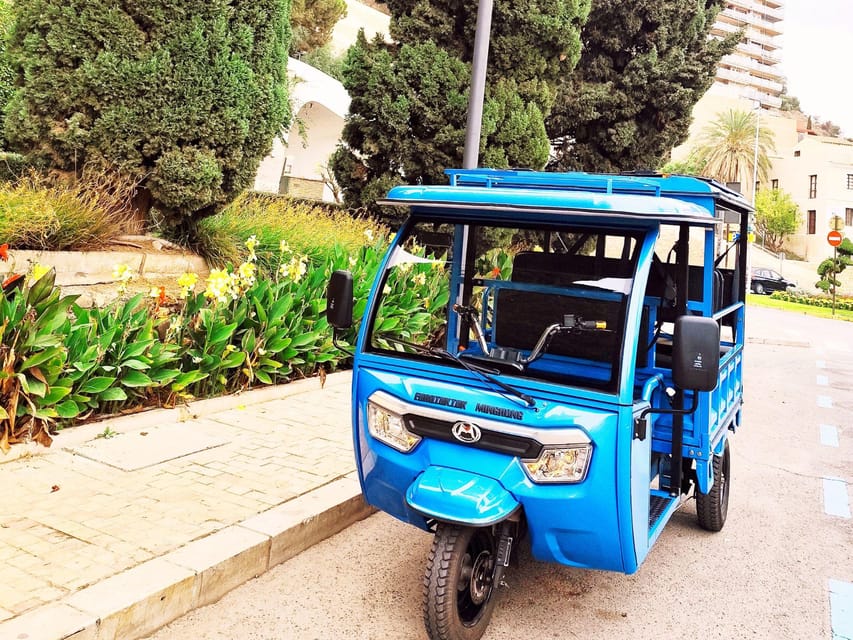 Malaga: Tuk tuk tour - Pedro Luis Alonso Gardens and the Pompidou Centre