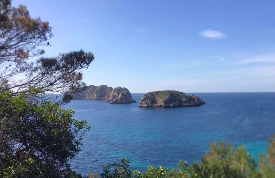 Mallorca: 2-Hour Coastline & Malgrat Islands Catamaran Tour - Seeing Paguera, Santa Ponsa, Camp de Mar, and Calvià from offshore