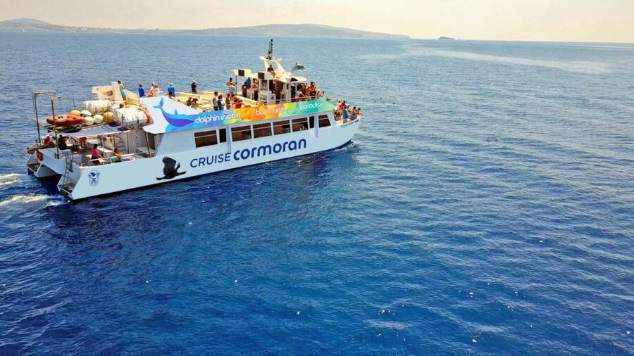 Mallorca: 2-Hour Dolphin Watching Cruise & Glass-Bottom Boat - Setting out early along Mallorca’s coast
