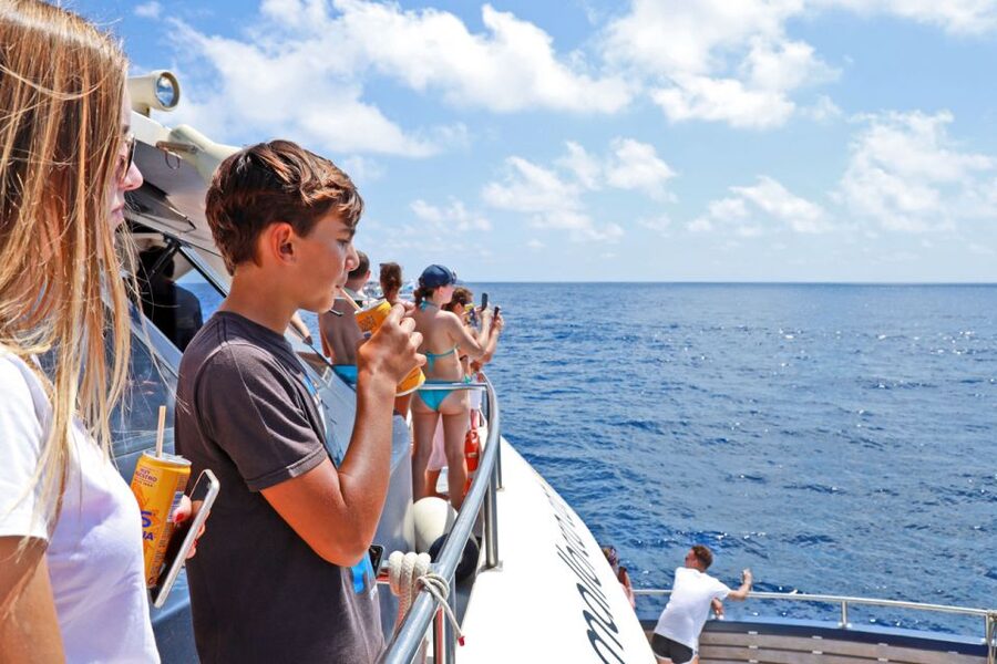 Mallorca: 2-Hour Dolphin Watching Cruise & Glass-Bottom Boat - What the glass-bottom boat adds