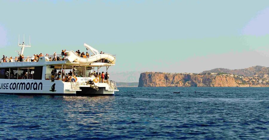 Mallorca: 2-Hour Dolphin Watching Cruise & Glass-Bottom Boat - Sea conditions and comfort