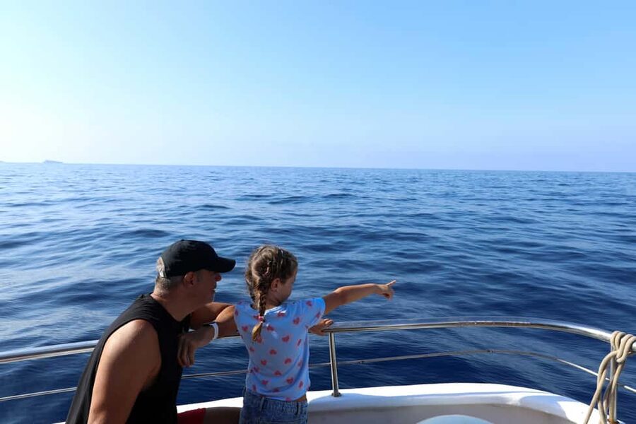 Mallorca: 3-Hour Afternoon Dolphin Watching Boat Tour - How much value do you get for $48?