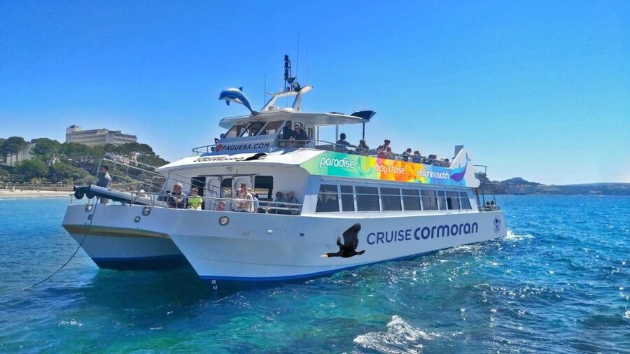 Mallorca: Catamaran Coastal Cruise with Lunch - Who will enjoy this cruise most?