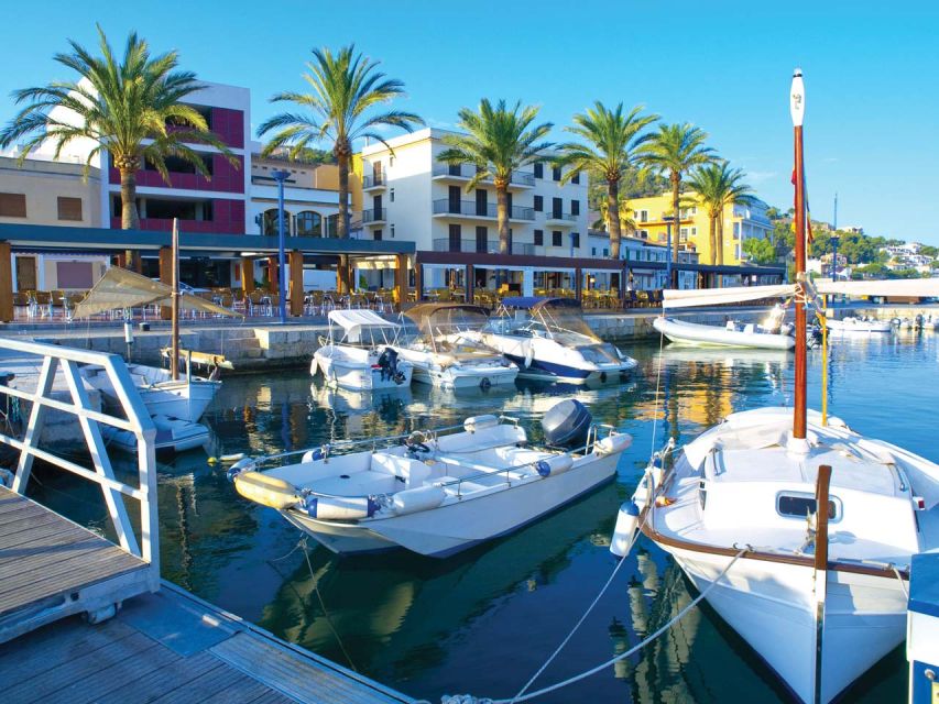 Mallorca: Catamaran Coastal Cruise with Lunch - A four-hour look at Mallorca’s southwest coast