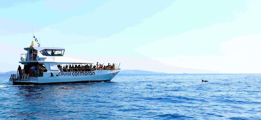 Mallorca: Catamaran Coastal Cruise with Lunch - Two bars, music, and the feel onboard