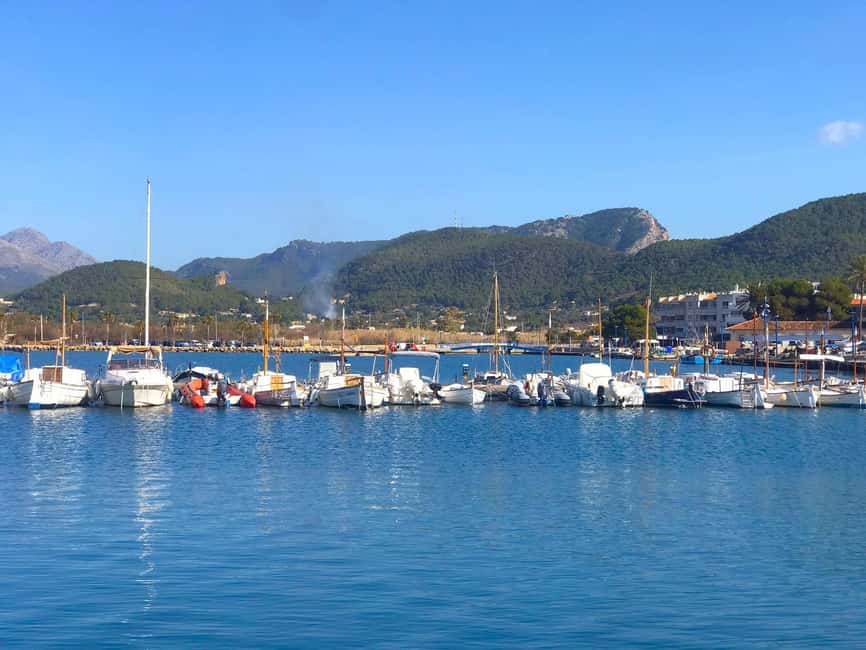 Mallorca: Catamaran Coastal Cruise with Lunch - Is $54 good value?