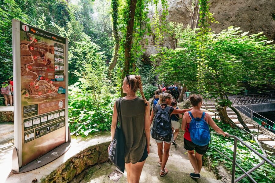Mallorca: Caves of Drach Day Trip & Optional Caves of Hams - Key points to know before you book