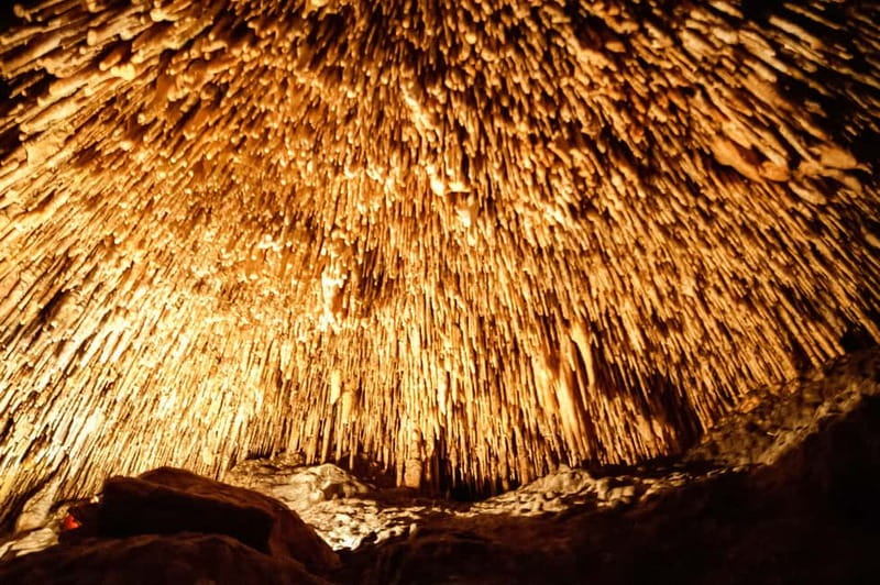 Mallorca: Caves of Drach Tour from the North with Boat Trip - Why the Caves of Drach are worth your time