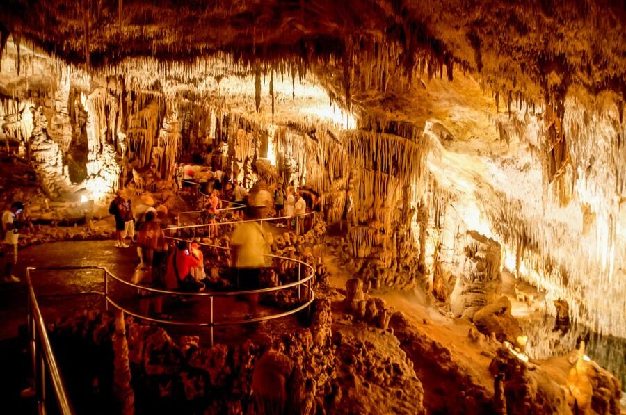 Mallorca: Caves of Drach Tour from the North with Boat Trip - How the $59 price compares
