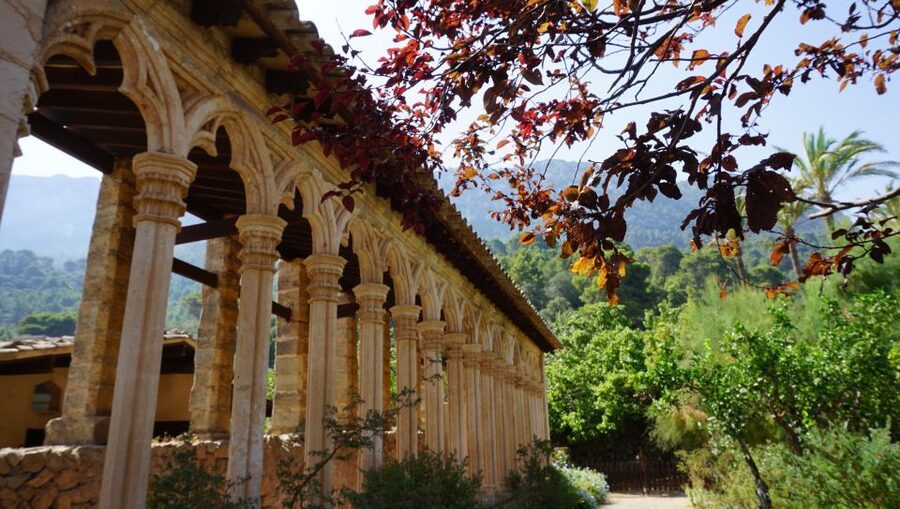 Mallorca: Day Trip to Hidden Gems of Tramuntana with Lunch - Should you book the Tramuntana hidden-gems day trip?