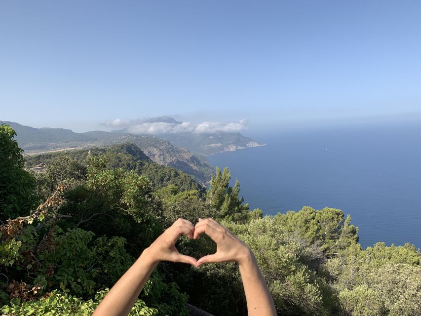 Mallorca: Day Trip to Hidden Gems of Tramuntana with Lunch - A family olive oil mill in Sóller
