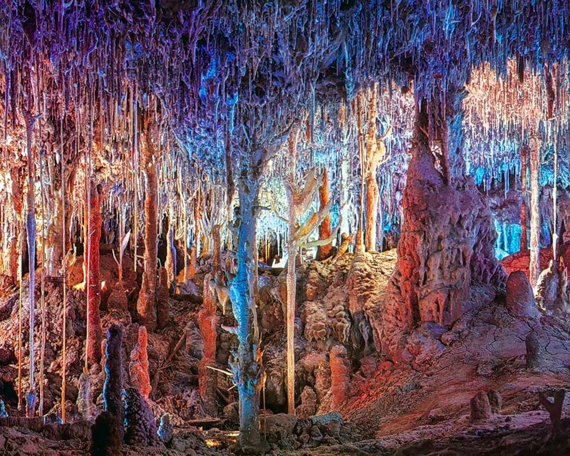 Mallorca: Dinosaurland and Caves of Hams Combined Ticket - Why this combination works in Porto Cristo