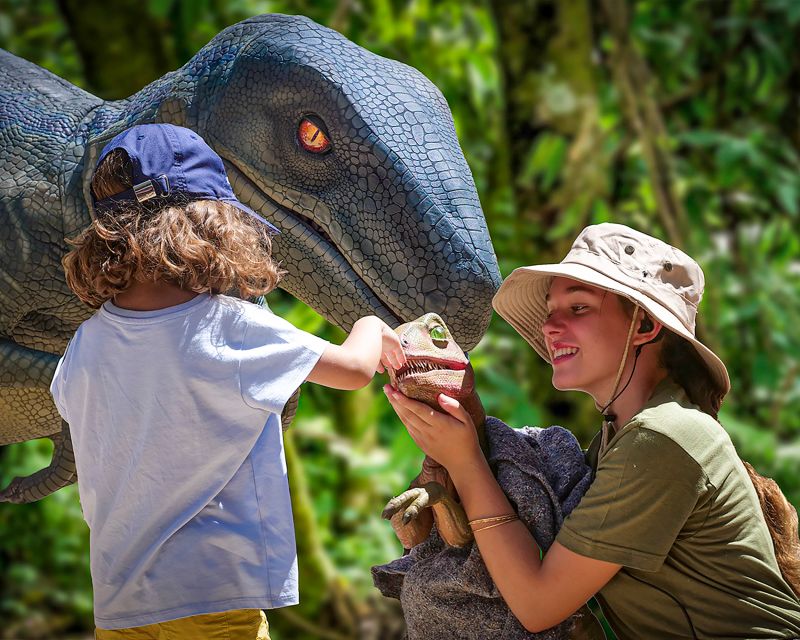 Mallorca: Dinosaurland and Caves of Hams Combined Ticket - Food, shade, and the practical side of Dinosaurland