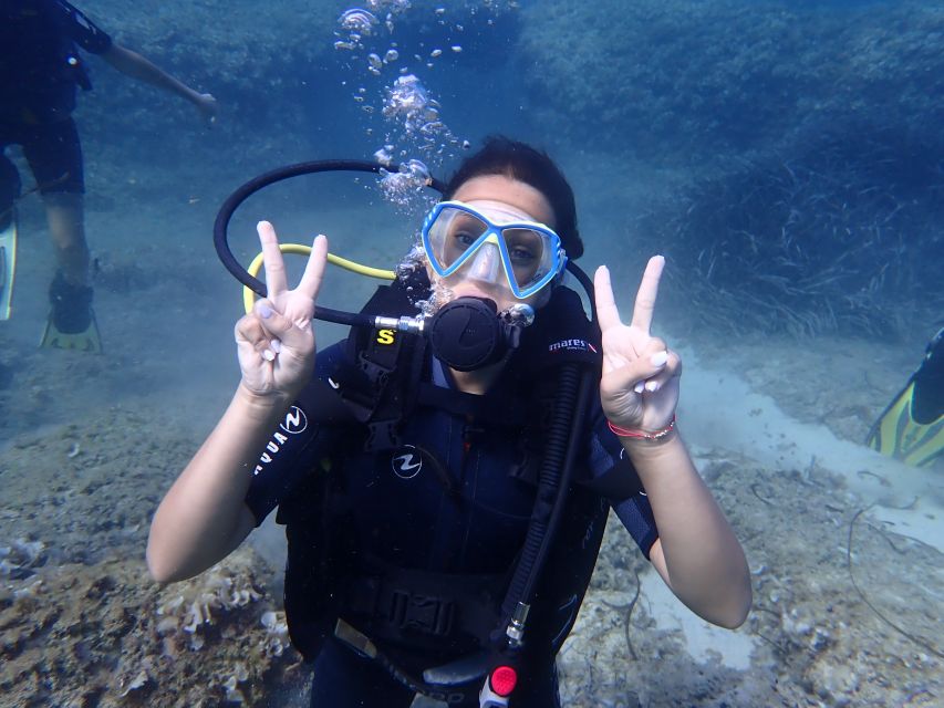 Mallorca: Discover Scuba Diving for Beginners - The briefing: learning the basics without a classroom slog
