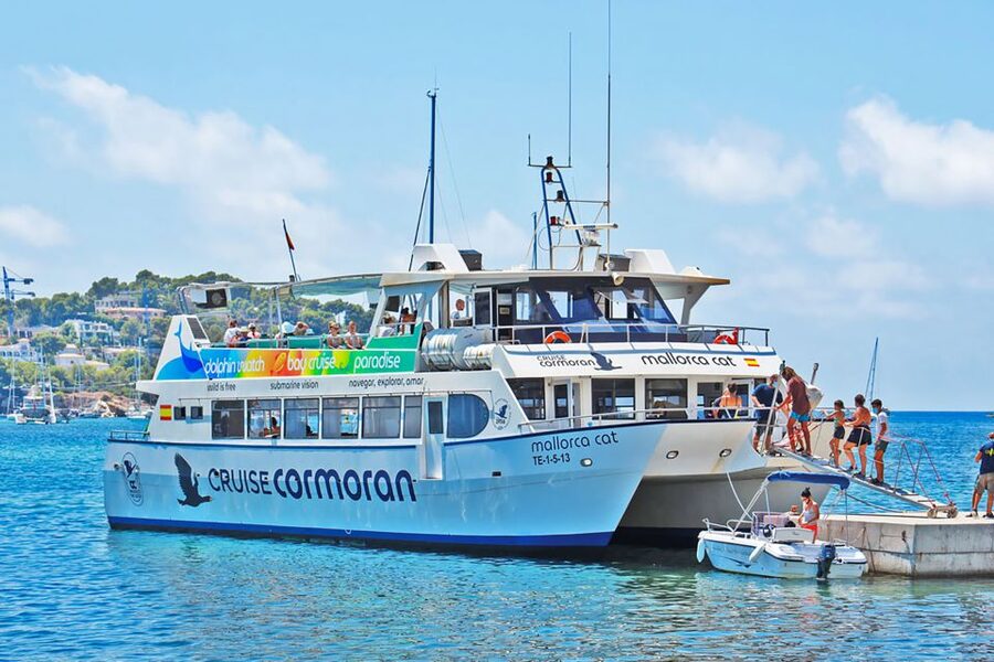 Mallorca: Dolphin Watching Cruise - The real attraction: dolphins in open Mallorcan water