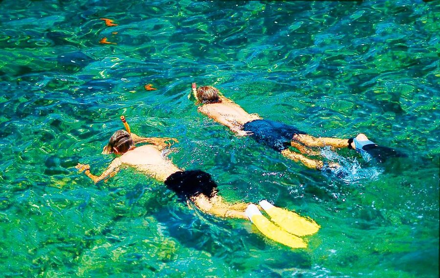 Mallorca: Dolphin Watching Cruise - Food, drinks, and the onboard atmosphere