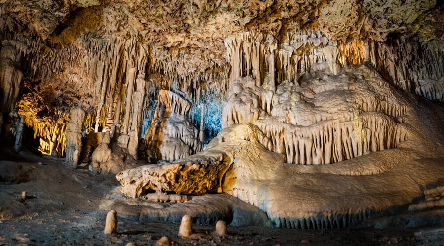 Mallorca: Drach and Hams Caves, and Porto Cristo Day Tour - Who will enjoy this day most