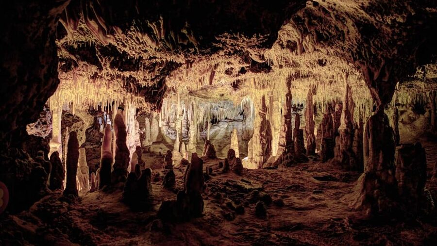 Mallorca: Drach Caves, Lake Martel, & Pearl Factory Day Trip - The coach ride and pickup details
