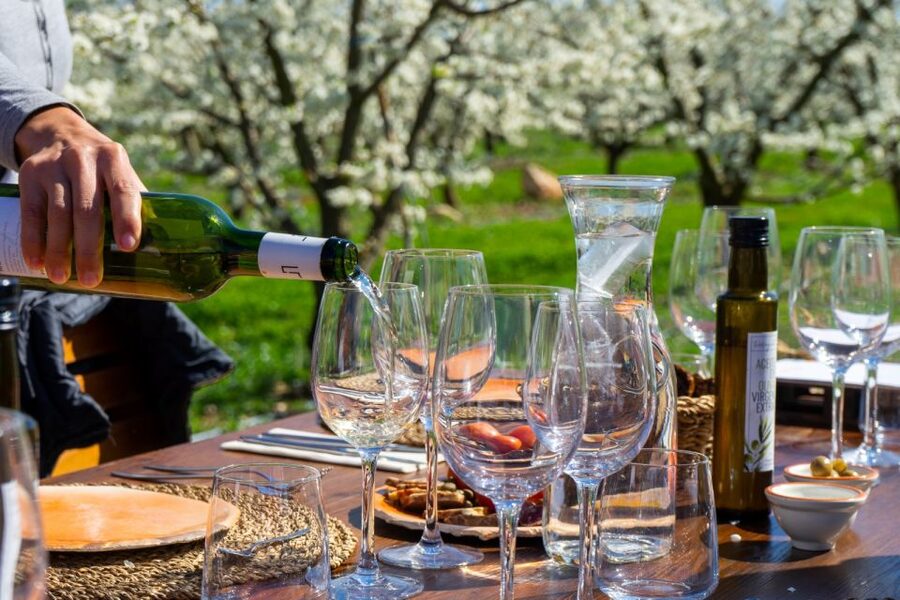 Mallorca: Full-Day Winery Small Group Tour - Key points at a glance