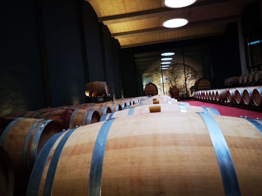Mallorca: Full-Day Winery Small Group Tour - Local food makes the day more satisfying