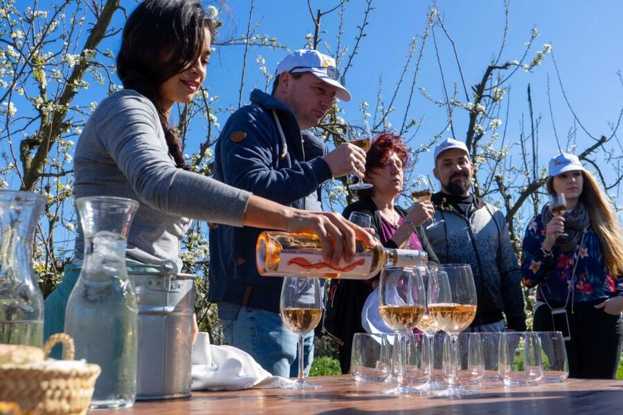 Mallorca: Full-Day Winery Small Group Tour - A realistic look at the eight-hour schedule