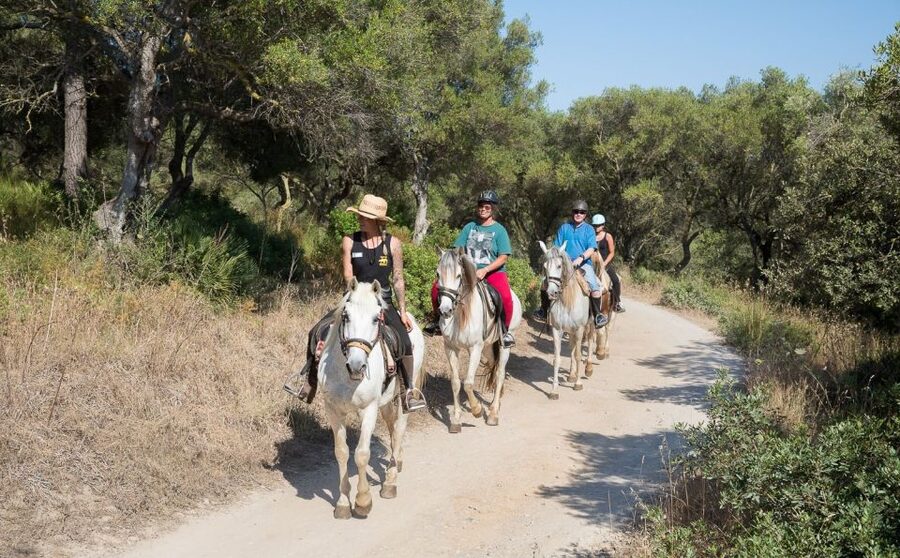 Mallorca: Horseback Riding Excursion and Wine Tasting - The tasting with Miguel and Sally
