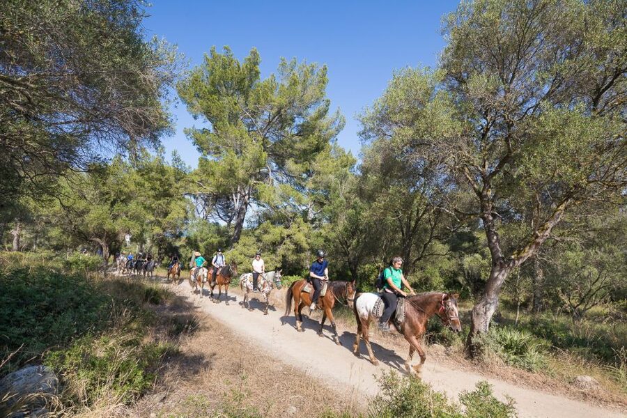 Mallorca: Horseback Riding Excursion and Wine Tasting - Is $75 a fair price?