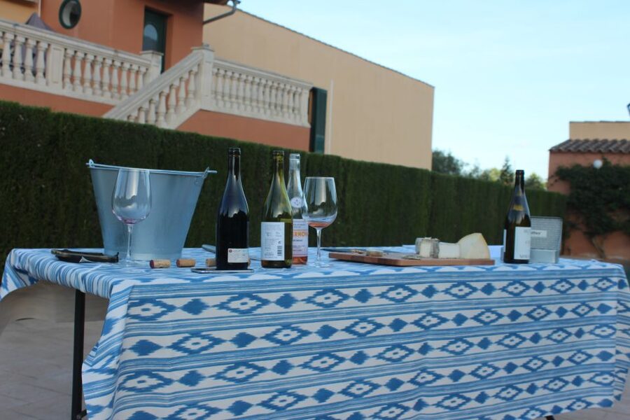 Mallorca: Horseback Riding Excursion and Wine Tasting - Why the horses matter