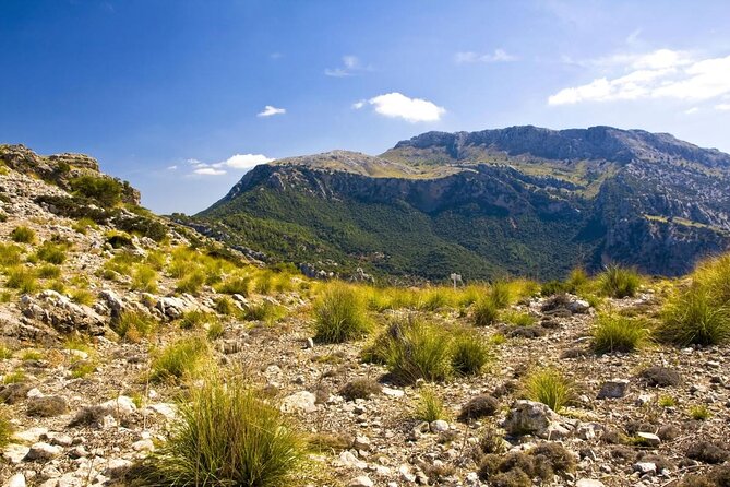Mallorca in One Day Sightseeing Tour with Boat Ride and Vintage Train - Key points at a glance