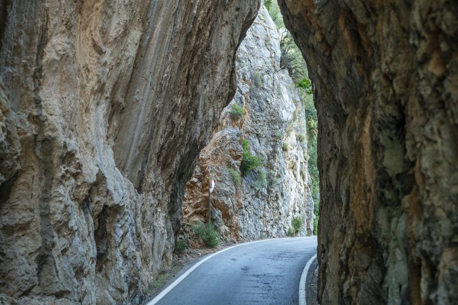 Mallorca: Island Tour with Boat, Tram & Train from the South - Sóller, its tram, and the old wooden train