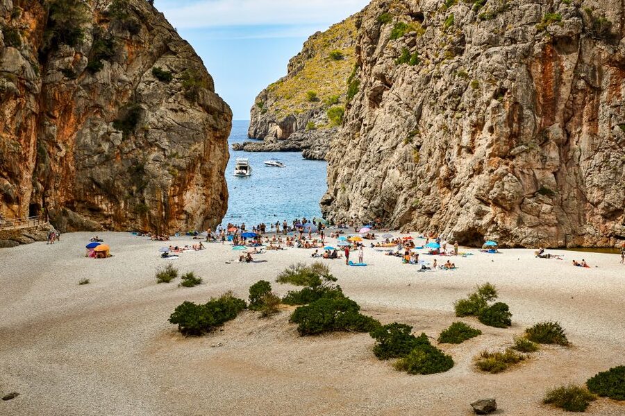 Mallorca: Island Trip by Train, Tramway, and Boat - Starting in Palma or Son Sardina