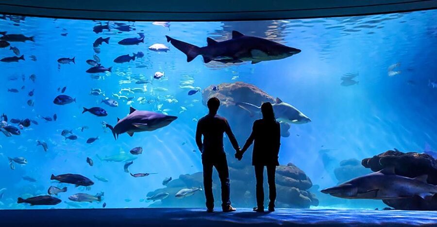 Mallorca: Palma Aquarium Entry Ticket w/ Optional 3D Cinema - Key points to know before you go