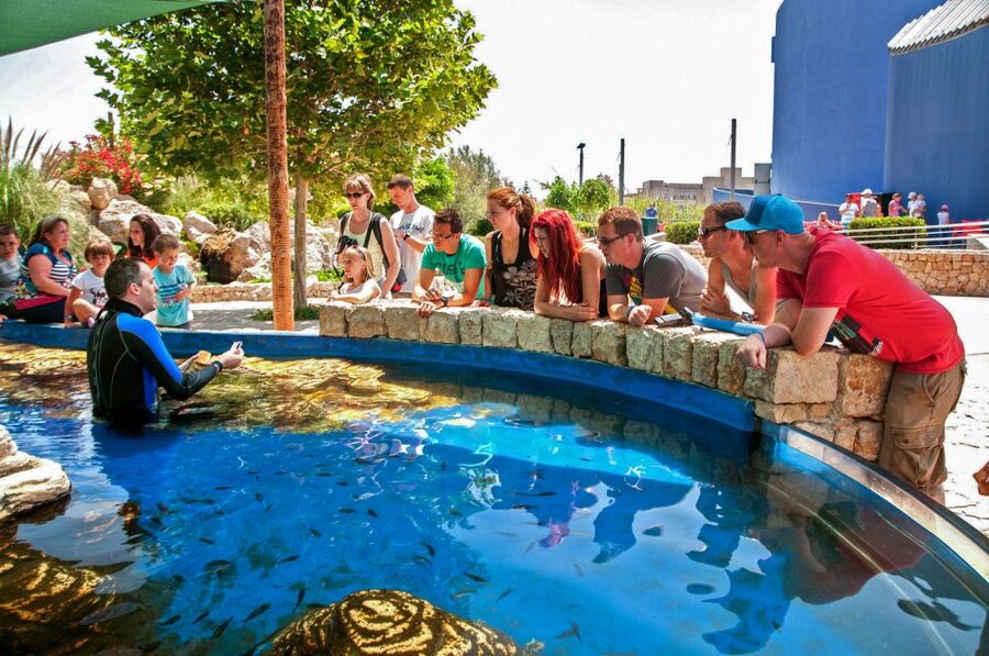 Mallorca: Palma Aquarium Entry Ticket w/ Optional 3D Cinema - The Aquadome adds a short 3D whale experience