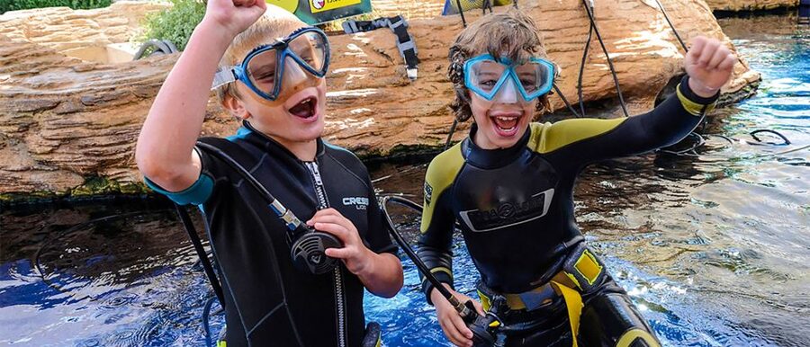 Mallorca: Palma Aquarium Entry Ticket w/ Optional 3D Cinema - What the Palma Aquarium visit is really like
